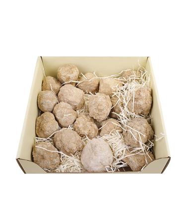 1pcs Geode Agate Raw Crystal Crystals Natural White Stone Cavity for Collection Lovers Specimen Study Irregular Stone Beautiful Sent at Random 1pcs