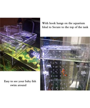Hamiledyi Aquarium Breeding Isolation Box - Acrylic Fish Tank Hatchery Divider for Guppy, Shrimp, Clownfish & More - Buy Online on GoSupps.com