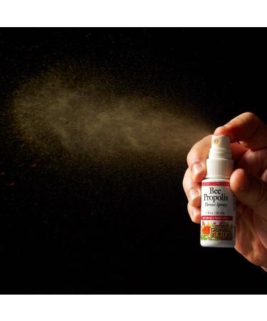 Natural Factors Bee Propolis Throat Spray - Soothe Sore Throat & Boost Energy | 1 Oz - International Shipping Available - Buy Online on GoSupps.com