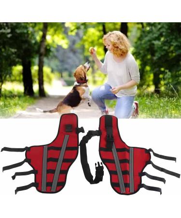 Dog Knee Brace Adjustable Dog Leg Brace Double Rear Leg Brace Elastic Shockproof Dog ACL Brace CCL Brace Hind Leg Pet Knee Pads with Reflective Strips for Pets and Dogs (L) Large - Buy Online on GoSupps.com