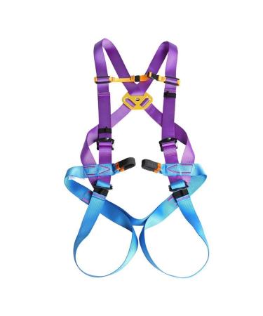 PURRL Climbing Harness for Adults Full Body Outdoor Aerial Work Harness Safe Safety Belts for Mountaineering B little surprise