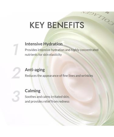 MIZON Phyto Plump Collagen Night Cream | 75% Natural Anti-Wrinkle Hydrating Vegan Formula | Boost Elasticity & Moisture (50ml - Buy Online on GoSupps.com