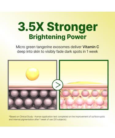 GOODAL Green Tangerine Vitamin C Cream Advanced Ver. Vitamin C Cream with 5% Niacinamide | Fades Dark Spots Boosts Radiance & Hydrates | Korean Skincare 1.69oz / 50ml Vita C Serum (Advanced Ver.) - Buy Online on GoSupps.com