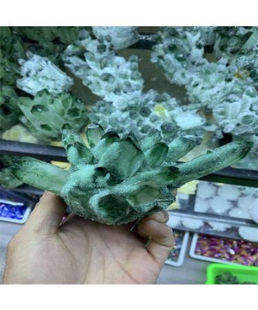 Natural Crystal Rough 300-800g Natural Green Ghost Phantom Quartz Crystal Cluster Rock Stones and Crystals Home Decor NaturalReiki Decoration (Size : 320-400g) - Buy Online on GoSupps.com