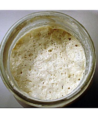 Kombuchaorganic Sourdough Bread Starter Culture Genuine Certified Organic White Bread Lake District Wild Yeast ALL TYPES OF FLOUR - Buy Online on GoSupps.com