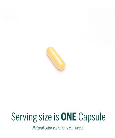 Genestra Brands Active B Complex 60 Capsules | Complete B Vitamin Supplement - Buy Online on GoSupps.com