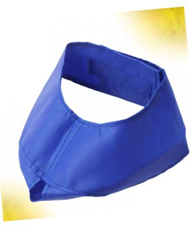 Shop Minkissy Fish Shells Dog Sweater & Glasses | Puppy Eye Flap & Cat Eye Mask - Blue Pet Apparel for Pets with Blindness - Buy Online on GoSupps.com