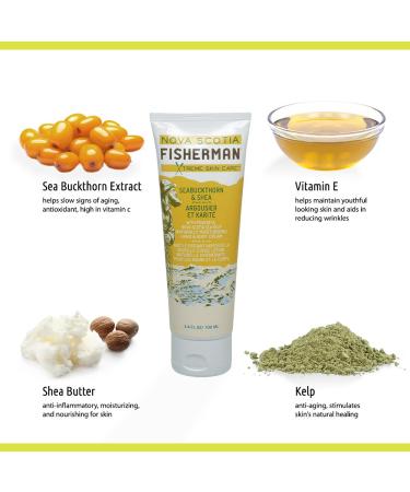 Vegan Hand and Body Cream with Nova Scotia Sea Kelp - Naturally Moisturizing Plant-Based No Artificial Ingredients - Seabuckthorn & Shea 3.4 oz - Buy Online on GoSupps.com
