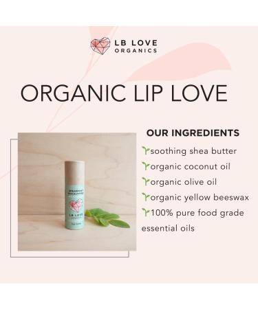 Buy Plastic Free Jumbo Organic Lip Balm | Natural Beeswax & Plant-Based | Zero Waste Spearmint Eucalyptus - Buy Online on GoSupps.com