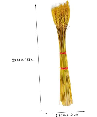 HOMSFOU 100pcs Dried Wheat Ears Bouquet Decor Wedding Wheat Ear Wheat Stalk Natural Wheat Ear Dry Flowers Home Wheat Ear Flowers Wheat Ear Dried Flowers. Rural Real Flower Yellow 52X10CM - Buy Online on GoSupps.com