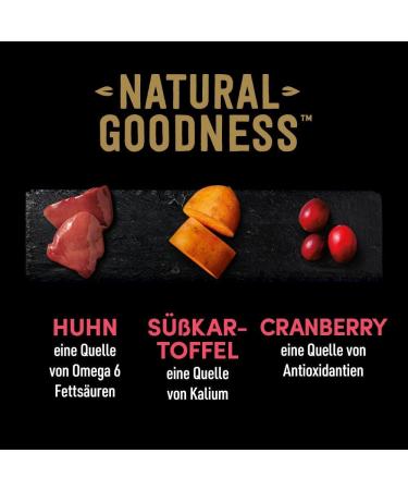 Cesar Adult Dog Food - Natural Goodness Wet Food 6 Cans (6x400g) Rich in Chicken Premium Balanced Nutrition 2.4 kg - Buy Online on GoSupps.com