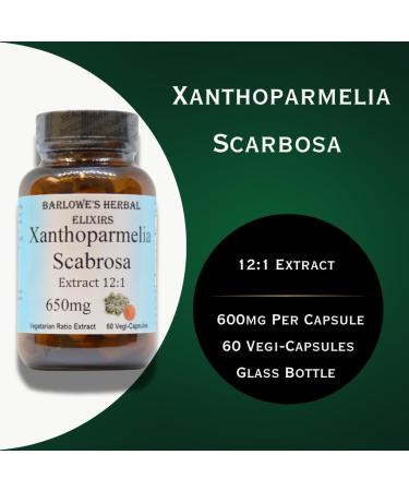 Barlowe's Herbal Elixirs Xanthoparmelia Scabrosa | 12:1 Extract | 650mg Per Capsule | Exercise & Wellness Support | 60 Veggie Capsules | Stearate-Free, Additive-Free, Glass Bottled - Buy Online on GoSupps.com