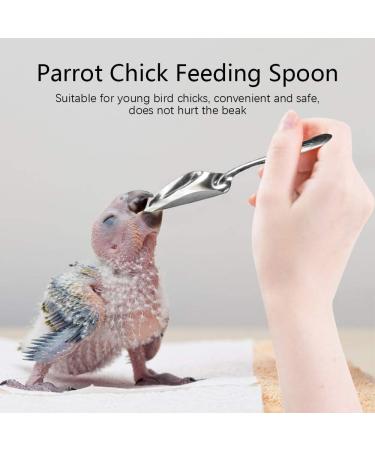 5Pcs Pet Bird Parrot Hand-Feeding Food Milk Powder Spoons Stainless Steel Spoons Bird Feeder - Buy Online on GoSupps.com