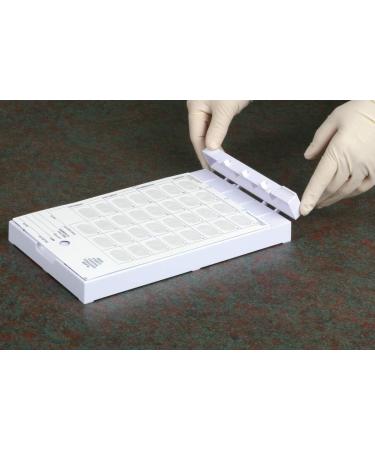 Ezy Dose 28-Day Weekly Pill Organizer - Ideal for Vitamins & Medications | International Shipping Available - Buy Online on GoSupps.com