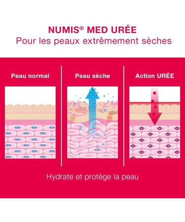 numis med Moisturizing Lotion 10% Urea - Soothing Body Lotion for Extremely Dry and Rough Skin - Vegan Free from Silicones Parabens and Mineral Oils - (3x 300ml) - Buy Online on GoSupps.com