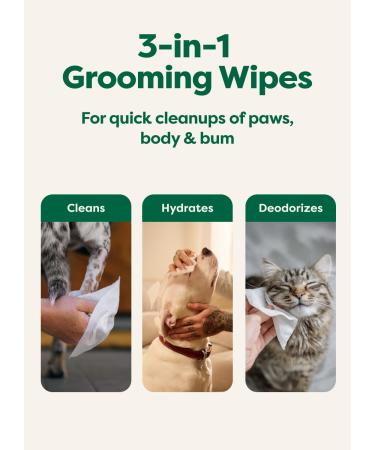 Earth Rated Unscented Dog Wipes - 100 Biodegradable Wipes for Clean Paws & Coats - Buy Online on GoSupps.com