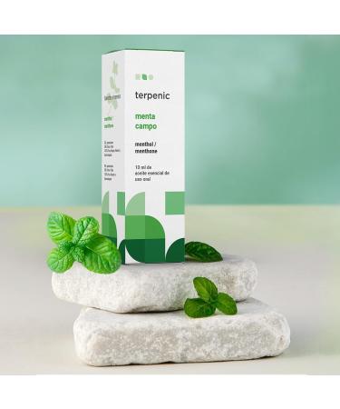  Terpenic Labs Terpenic Champo Mint 10 ml 10 ml - Buy Online on GoSupps.com