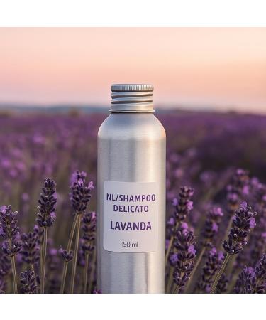 Centisia NLSoft Lavender Shampoo 150 ml Natural Cleansing for Body and Hair Aloe Vera Rice Milk Silk and Olive Oil Nourishing Cleansing Strengthening and Hydrating - Buy Online on GoSupps.com