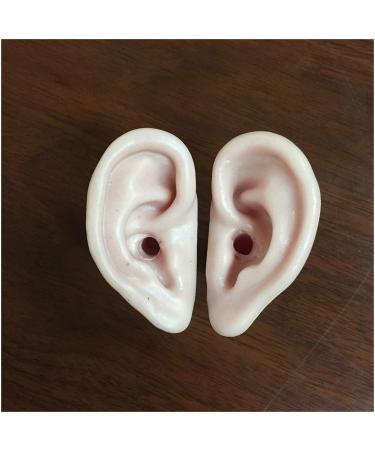 Simulation Silicone Ear Model - Soft Silicone Ear Model for Acupuncture Ear Picking Piercing Practice Training Ear Model Ear Learning Props - Buy Online on GoSupps.com