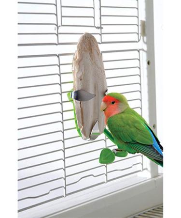 Jmxu 4pcs Cuttlebone with Metal Holder for Birds | Natural Bird Calcium 4.5-5.5 - Buy Online on GoSupps.com