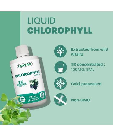 Liquid Chlorophyll Unflavoured 5X Concentrated 500ml Cold Extracted from Non-GMO Alfalfa - Detox - Alkaline - Natural Body Deodorant Antioxidant - Made in Canada - Buy Online on GoSupps.com