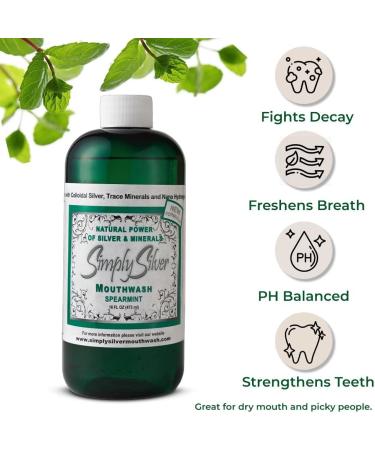 Spearmint Nano Hydroxyapatite Silver Mouthwash - 16 oz | Chemical Alcohol Fluoride BPA Free - Buy Online on GoSupps.com