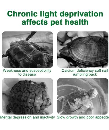 Zjrung 50W Turtle Heat Lamp - Rotatable UVA/UVB Reptile Terrarium Light with Clip & Temperature Tester for Turtles Lizards Snakes & Spiders - Buy Online on GoSupps.com
