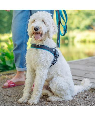 Nobby Norwegian Harness Mesh Preno - Neon Orange Size L (60-76 cm + 46 cm) Durable & Adjustable Dog Harness - Buy Online on GoSupps.com