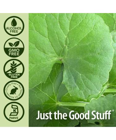 Bloomingdale IL 60108 Naturals Answer GotuKola Extract Gluten Free Alcohol Free 30 ml - Buy Online on GoSupps.com