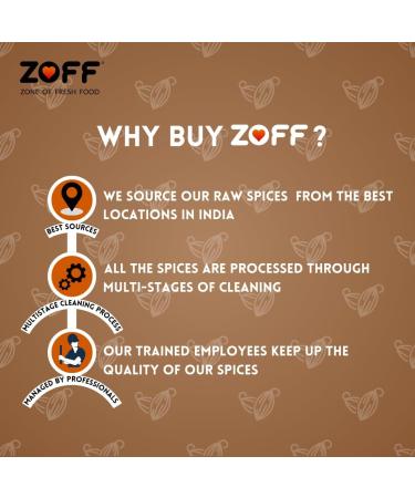 ZOFF Big Fennel Whole(100g / 3.5Oz) | All Natural | Vegan | Indian Origin 100 GM - Buy Online on GoSupps.com