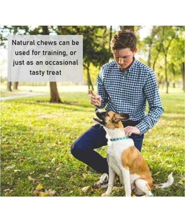 100g Camel Skin Natural Dog Treats Chews - Hypoallergenic & Sourced from Sustainable Livestock - SLCP - Buy Online on GoSupps.com