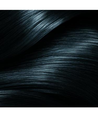 Franck Provost Expert Permanent Hair Colouring Excellent Coverage Professional Colour 1.0 Nero Ebano - Buy Online on GoSupps.com