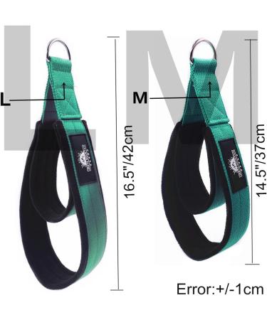 Lights Mountain Pilates Double Loop Straps - 1 Pair, D-Ring Handle, Yoga Exercise Accessories for Home Gym - Lake Green M - Buy Online on GoSupps.com