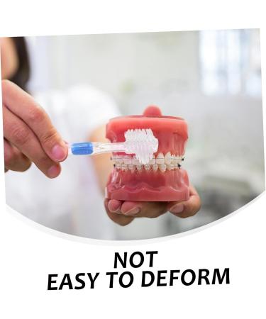 Buy Gleavi 15 StK Prosthesis Cleaning Brush - Double-Sided Toothbrush for False Teeth Care Tools | International Shipping Available - Buy Online on GoSupps.com