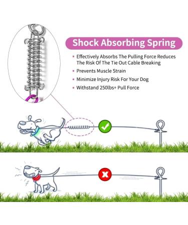 Buy Mi Metty Blue Cable Design - 60 ft Dog Leash with Robust Spring Rustproof Reflective Training Belt for Outdoor & Camping - Buy Online on GoSupps.com