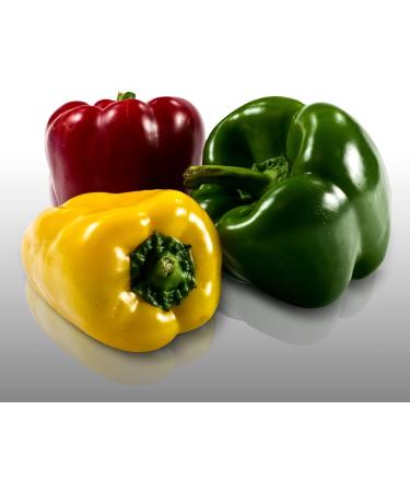 50 seeds - PEPPER "Sweet of Spain" - Capsicum annuum - Buy Online on GoSupps.com