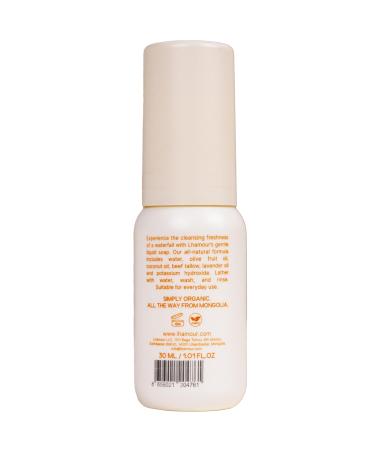 Travel Spray Soap - Hypoallergenic Natural Hand Cleanser | Moisturizing | Perfect for Sensitive Skin | 1 Oz - Ideal for Public Restrooms & On-the-Go Use - Buy Online on GoSupps.com