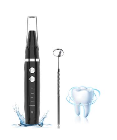 Plaque Remover for Teeth Wagner Stern Teeth whitening kit with 5 Modes for Plaque Stain Removal Stain Remover with 2 Heads Dental Plaque Tool Black