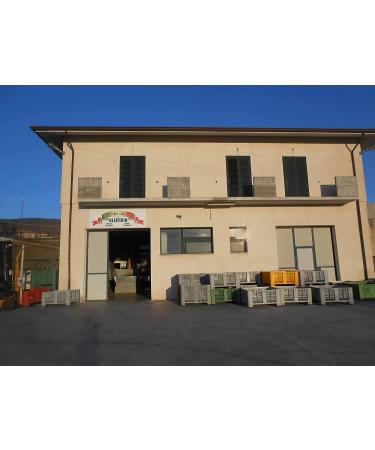 6 bottles of 0.75 liters - Premium quality oil obtained only from the mechanical processing of olives. With anti-fill cap - Buy Online on GoSupps.com