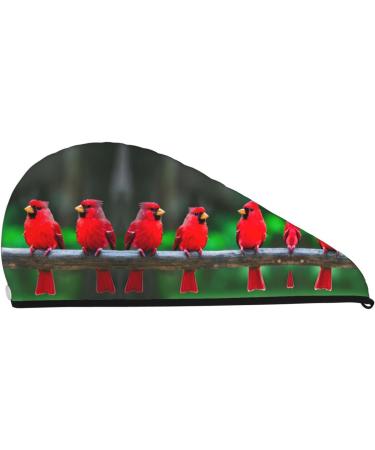 Red Cute Birds Coral Velvet Dry Hair Cap - Unisex Wet Towel Wrap for Bathroom Pool Party & Beach - Perfect Home Accessory - Buy Online on GoSupps.com
