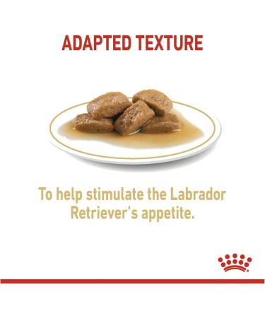 Royal Canin Labrador Retriever Adult in Gravy Wet Dog Food 140g (Pack of 10) - Buy Online on GoSupps.com