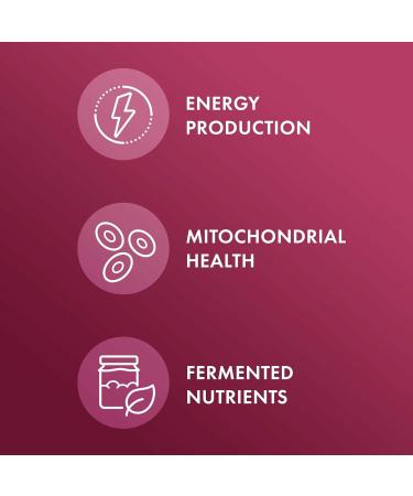 Dr. Mercola Organic Fermented Beets - Nitric Oxide Support - USDA Organic, Non-GMO, Gluten-Free & Soy-Free - 60 Capsules - Buy Online on GoSupps.com