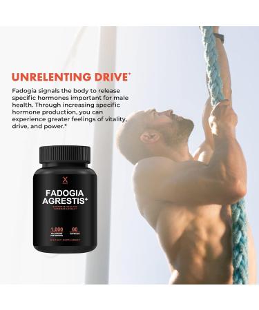 Fadogia Agrestis Tongkat Ali & Beta Ecdysterone 1000mg - USA Third Party Tested Supplement - Powerful Extracts to Support Athletic Performance & Muscle Mass - Veggie Capsules Supplements - Buy Online on GoSupps.com