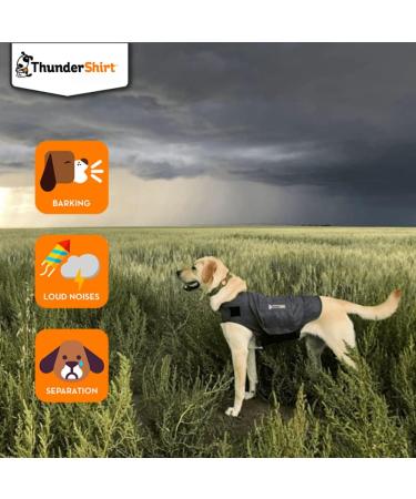 Thundershirt for Dogs X-Large Grey Grey XL - Buy Online on GoSupps.com
