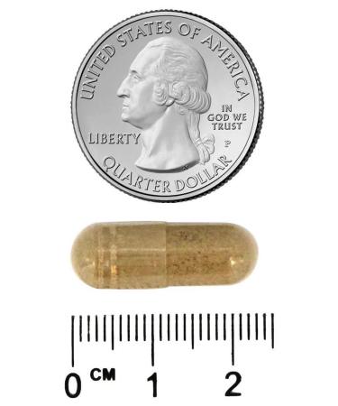 Vitamin Code 50+ Men's Formula - 240 ct | Whole Food Multivitamin for Aging Men - Buy Online on GoSupps.com