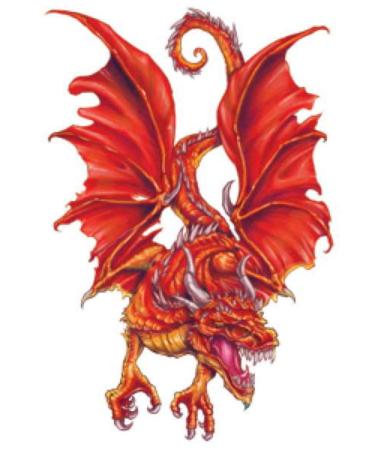 Fantasy Dragons Temporary Tattoos - Set of 10 Colorful Dragon Designs - Buy Online on GoSupps.com