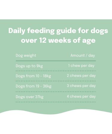 Buddy & Lola Probiotics For Dogs - Daily Digestive Health Chews with Prebiotics, Probiotics & Fiber - Plant Based Gut Health Aid for Firm Stools & Itch Relief - 1 Tub - Buy Online on GoSupps.com