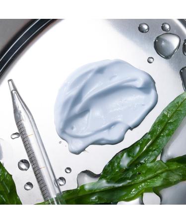 Bullfrog Hydrating Toning Face Cream 75 ml Fast Absorbing Nourishes and Hydrates Rich in Natural Ingredients Made in Italy - Buy Online on GoSupps.com