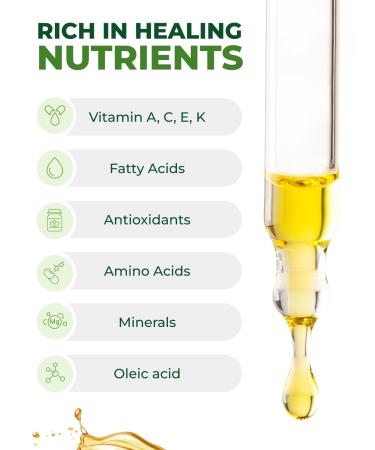 100% Pure Moringa Oil Organic for Face, Hair, Nails and Dry Skin - USDA Certified Single Origin Moringa Oleifera Seeds Extract - 3rd Party Tested, Cold Pressed & Unrefined Organic Moringa Seed Oil 4 Fl Oz (Pack of 1) - Buy Online on GoSupps.com