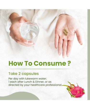 Himalayan Organics Plant Based Iron Supplement with Folate | Blood Builder | Whole Food | 120 Veg Capsules - Buy Online on GoSupps.com